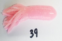Bubble Gum